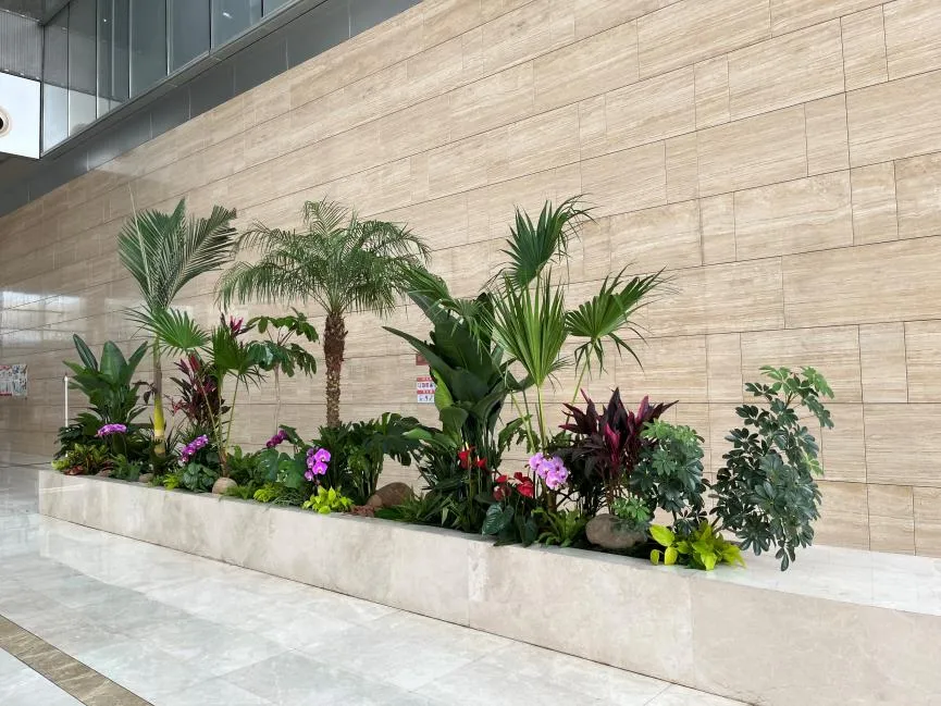 宁波余姚盆景出租，以超实惠价格扮靓生活！