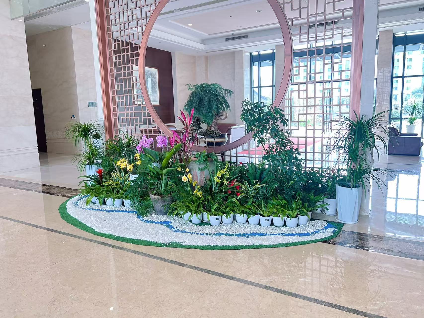 宁波绿植租摆专业